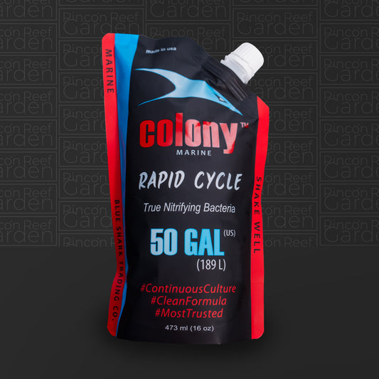 Colony 50G