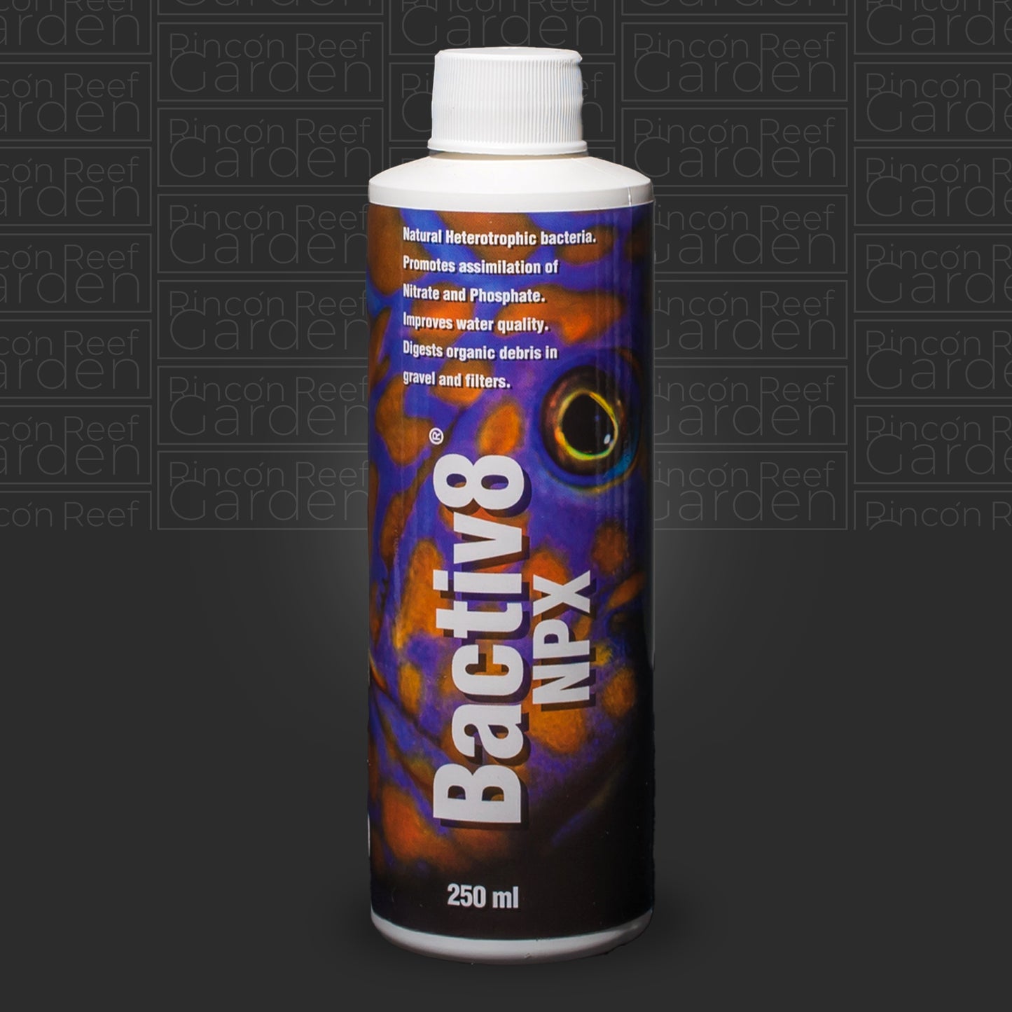 BACTIV8 NPX